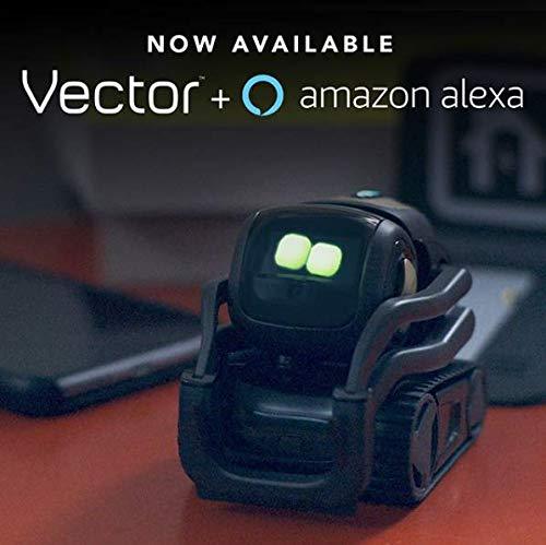 Vector : AI Robot by ANKI