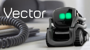 Vector : AI Robot by ANKI