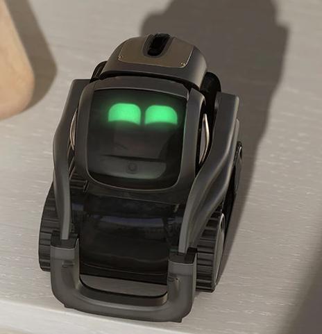 Vector : AI Robot by ANKI